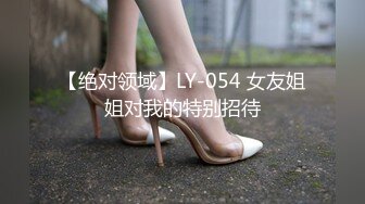 【绝对领域】LY-054 女友姐姐对我的特别招待