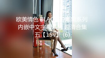 欧美情色 BLACKED媚黑系列 内嵌中文字幕系列 超清合集五【15v】 (6)