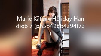 Marie Käfer - Holiday Handjob 7 (ph5b498b4394f73)