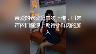 【新片速遞】与骚女友的一天，视觉刺激，后入粉穴，大肉棒塞满，膨胀的感觉让她淫声不止！[542M/MP4/22:50]