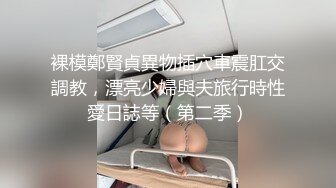 裸模鄭賢貞異物插穴車震肛交調教，漂亮少婦與夫旅行時性愛日誌等（第二季）