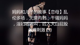 约啪极品美乳女神，铃铛夹美乳，最后内射