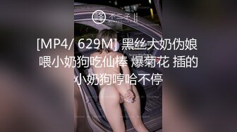 高冷的御姐在沙发上被操