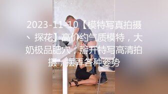 2023-11-10【模特写真拍摄丶探花】高价约气质模特，大奶极品肥穴，掰开特写高清拍摄，摆弄各种姿势