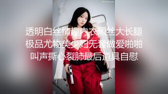 「国产AV主题秀——寻找最美吃鸡女」高颜值极品小姐姐吹箫主题合集⑬【26V】2 (2)