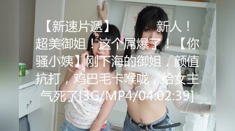 新人出道19歳发育中J罩杯 小梅惠奈