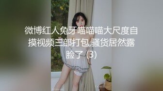 安防极品 极品少妇被爆干 很少见这么骚的少妇了，叫床真骚，把我几把都听硬邦邦了 (1)