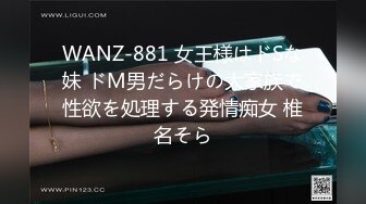 WANZ-881 女王様はドSな妹 ドM男だらけの大家族で性欲を処理する発情痴女 椎名そら