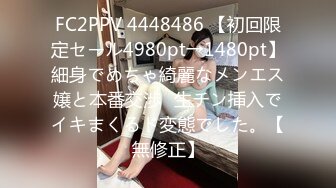 [MP4]性视界传媒 XSJ009 女蒂传 相遇路飞 白熙雨