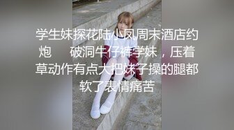 【三级】《性虐游戏》