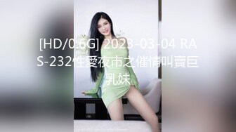 [HD/0.6G] 2023-03-04 RAS-232性愛夜市之催情叫賣巨乳妹