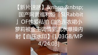 国产坦克集中营☀️自搜集那些颜值高的国产肉弹坦克主播【100V】 (92)