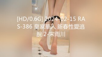 [MP4]麻豆传媒 MD-190-3《我是苏畅我回来了》酒后蜜屄渴望肉棒的抽插