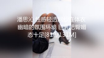 主动的小狗狗