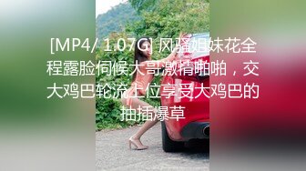 [MP4]高颜值性感妹子，穿上透视情趣装口交上位骑坐抽插