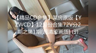 【精品CD合集】某房原版【YZWCD】12月份合集72V分2期之第1期[超清原画质] (9)