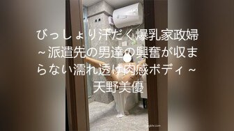 びっしょり汗だく爆乳家政婦～派遣先の男達の興奮が収まらない濡れ透け肉感ボディ～ 天野美優