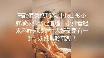 [MP4]麻豆传媒-性欲极強的女特工 腥城律子的追击人物