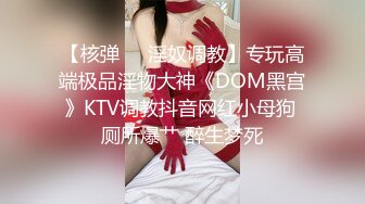 【核弹❤️淫奴调教】专玩高端极品淫物大神《DOM黑宫》KTV调教抖音网红小母狗 厕所爆艹 醉生梦死