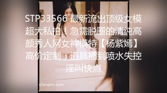 極品女模特唯美誘惑 (高清寫真視頻)