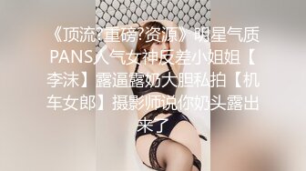 国产麻豆AV MDX MDX0067 性欲极强的女特工 夏晴子