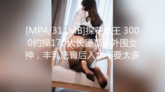 高级注册会计师老婆的发情日常