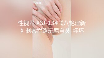 性视界 XSJ-134《八艳淫新》刺客拦路玩屌自焚-坏坏