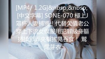 [MP4/ 1.2G]&nbsp;&nbsp; [中文字幕] SONE-070 極上J罩杯人妻捕獲！代替欠債老公穿上下流女僕服用犯罪級身軀搓揉舔弄夾擊搖晃吞食！ 鷲尾芽衣