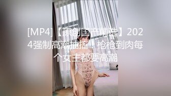 单位同事出差和他老婆做爱