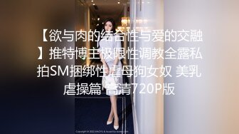 Onlyfans知名Coser小丁2022.04.15-2023.03.21福利cos露出户外 17V[438P/995M]