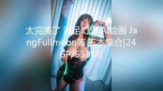 太完美了 满足幻想 AI绘画 JangFullmoon等 三本集合[246P/533M]