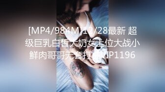 [MP4/ 1.19G]&nbsp;&nbsp;大海浪探花，今夜尝试挑战沙发视角，2600网约外围女神