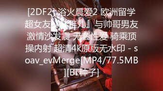 TZ-109-02 凌波丽 轮奸女搜查��（下篇）男上司叛变与肉便器罪犯 兔子先生 x 麻豆传媒映画