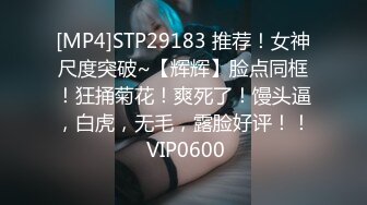 【推特巨乳】hhh1231 又叫 Sera 最新啪啪长视频 onlyfans福利 (3)