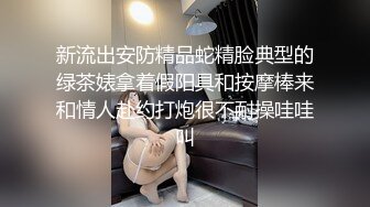 深夜跟甜美小少妇玩个车震，温柔的口交奶子不小玩个乳交，主动插入爆草下车后入深夜里的呻吟好刺激