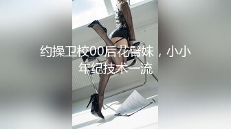 放浪传媒FX-0003傲慢女上司