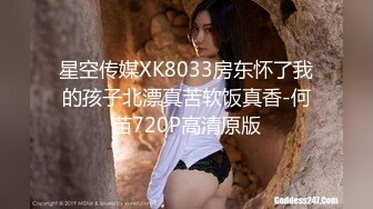 星空传媒XK8033房东怀了我的孩子北漂真苦软饭真香-何苗720P高清原版