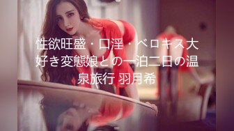 妻の淫らな秘密 ～夫妇の愉しみ～ 莲実クレア、息子の嫁 ～美人妻、淫靡な秘蜜～ 友田彩也香