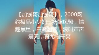 优质气质推特UP主【薇薇】极品反差婊性爱私拍流出，户外露出啪啪，吹箫技术一流