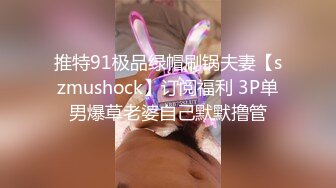 推特91极品绿帽刷锅夫妻【szmushock】订阅福利 3P单男爆草老婆自己默默撸管