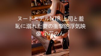 ヌードモデルNTR 上司と羞恥に溺れた妻の衝撃的浮気映像 小花のん