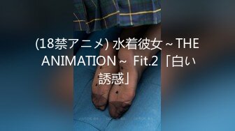 (18禁アニメ) 水着彼女～THE ANIMATION～ Fit.2「白い誘惑」