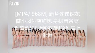 独家资源！把黑丝巨乳女友带出来和单男3p，全程淫荡对白（简芥可约她