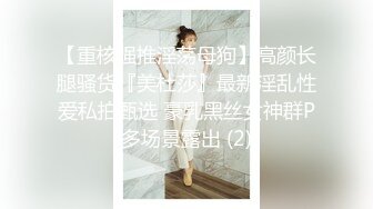 【重核强推淫荡母狗】高颜长腿骚货『美杜莎』最新淫乱性爱私拍甄选 豪乳黑丝女神群P多场景露出 (2)