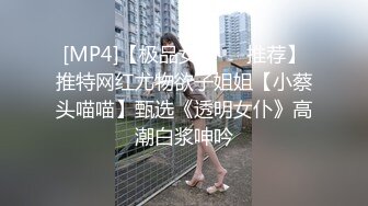 [MP4]【极品女神❤️推荐】推特网红尤物欲子姐姐【小蔡头喵喵】甄选《透明女仆》高潮白浆呻吟