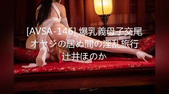 [AVSA-146] 爆乳義母子交尾 オヤジの居ぬ間の淫乱旅行 辻井ほのか