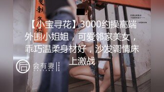 【小宝寻花】3000约操高端外围小姐姐，可爱邻家美女，乖巧温柔身材好，沙发调情床上激战