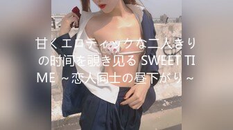 甘くエロティックな二人きりの时间を覗き见る SWEET TIME ～恋人同士の昼下がり～