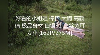 好看的小姐姐 棒棒 大胸 高颜值 极品身材 白银81 白丝兔耳女仆[162P/275M]